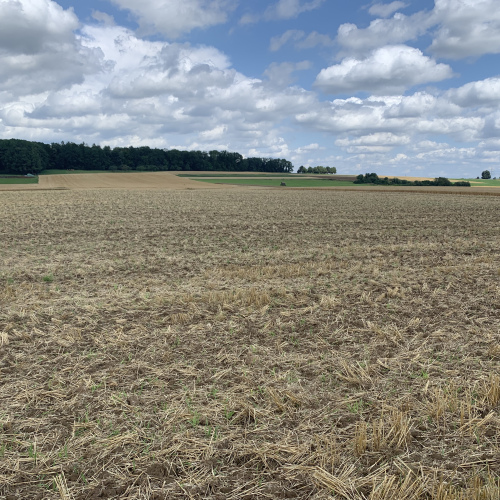3 Landwirtschaftliche Flächen im Bieterverfahren abzugeben optimhome Immobilien Deutschland • Kaufen & Verkaufen 3 Landwirtschaftliche Flächen im Bieterverfahren abzugeben optimhome Immobilien Deutschland • Kaufen & Verkaufen