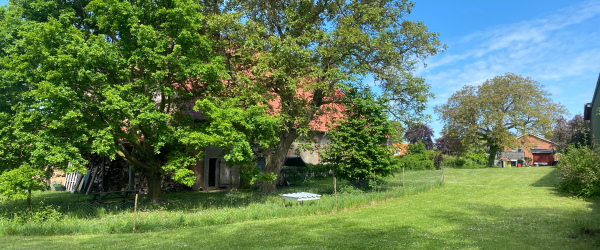 Bild Baugrundstück in Mitten ländlicher Idylle im Altdorf für ihr Bauvorhaben in Groß Meinsdorf