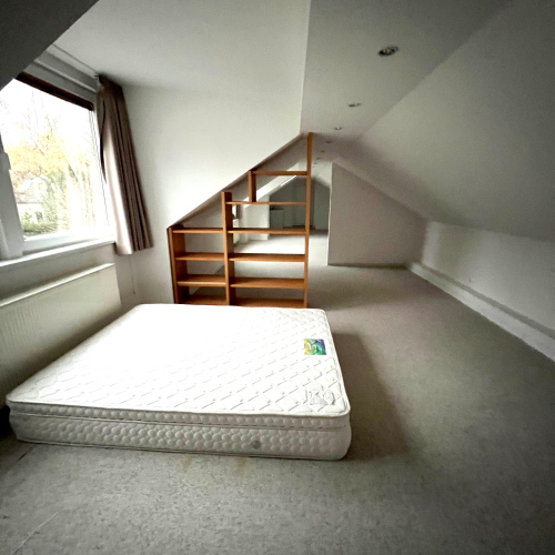 VERMIETET - Luxuriöser Winkelbungalow mit ca. 300 m² Wohn-/ Nutzfläche am Dorfanger optimhome Immobilien Deutschland • Kaufen & Verkaufen VERMIETET - Luxuriöser Winkelbungalow mit ca. 300 m² Wohn-/ Nutzfläche am Dorfanger optimhome Immobilien Deutschland • Kaufen & Verkaufen