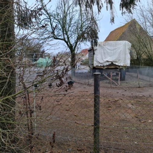 ca. 7.km. von Laage... knapp 20 km. nach Güstrow optimhome Immobilien Deutschland • Kaufen & Verkaufen