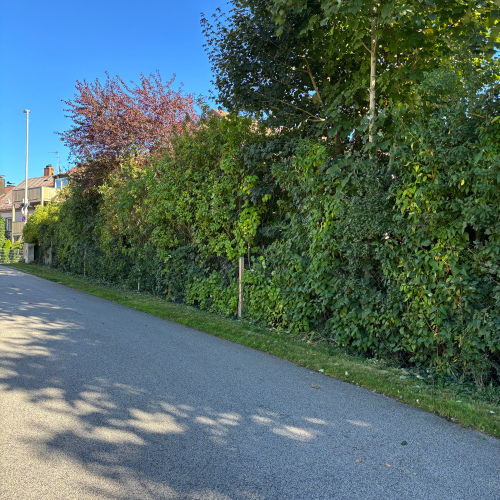 ***Hier ist vieles möglich*** optimhome Immobilien Deutschland • Kaufen & Verkaufen ***Hier ist vieles möglich*** optimhome Immobilien Deutschland • Kaufen & Verkaufen