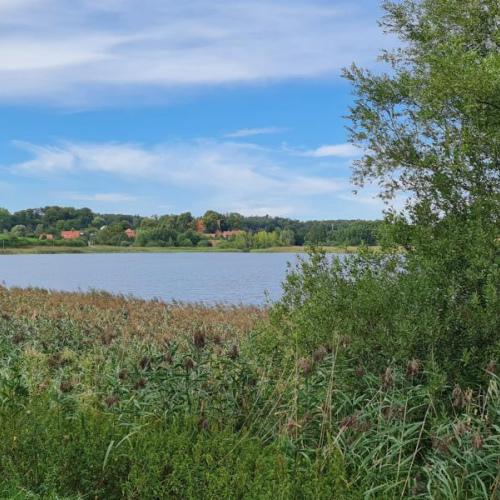 ca. 300 m. zum See !!! optimhome Immobilien Deutschland • Kaufen & Verkaufen