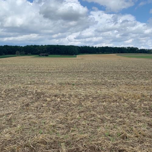 3 Landwirtschaftliche Flächen im Bieterverfahren abzugeben optimhome Immobilien Deutschland • Kaufen & Verkaufen 3 Landwirtschaftliche Flächen im Bieterverfahren abzugeben optimhome Immobilien Deutschland • Kaufen & Verkaufen