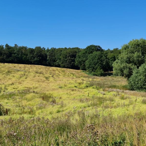 ca. 300 m. zum See !!! optimhome Immobilien Deutschland • Kaufen & Verkaufen