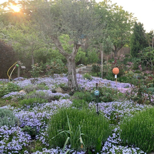 VERKAUFT ! Wohnen wie im Paradies : Luxusimmobilie mit zauberhaftem Garten optimhome Immobilien Deutschland • Kaufen & Verkaufen VERKAUFT ! Wohnen wie im Paradies : Luxusimmobilie mit zauberhaftem Garten optimhome Immobilien Deutschland • Kaufen & Verkaufen