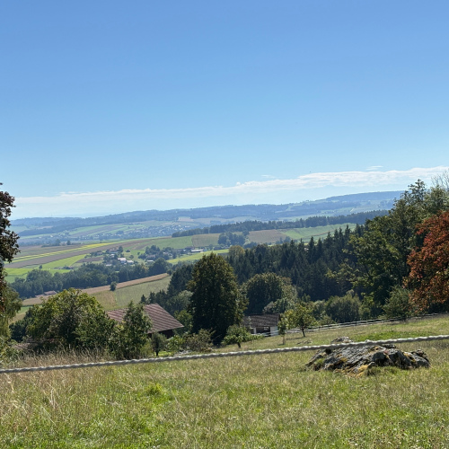 ***Für Naturliebhaber - viel Freiraum für Erholung und Gestaltungsideen*** optimhome Immobilien Deutschland • Kaufen & Verkaufen