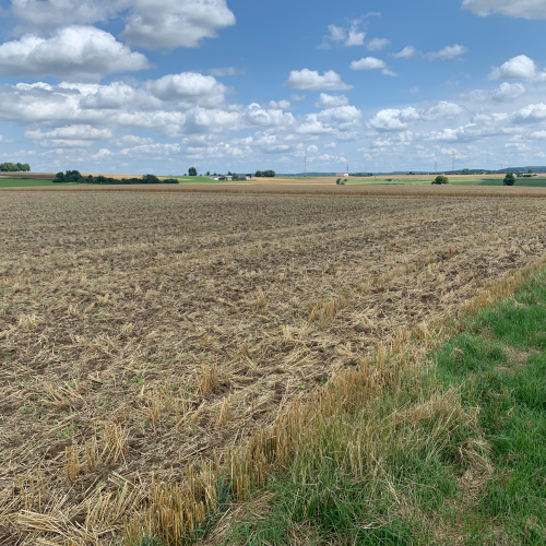 3 Landwirtschaftliche Flächen im Bieterverfahren abzugeben optimhome Immobilien Deutschland • Kaufen & Verkaufen 3 Landwirtschaftliche Flächen im Bieterverfahren abzugeben optimhome Immobilien Deutschland • Kaufen & Verkaufen