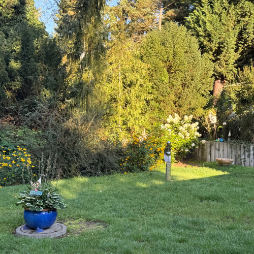 Genießen sie mit ihrer Familie ihr neues Zuhause auf 225 qm Wohn-/Nutzfläche optimhome Immobilien Deutschland • Kaufen & Verkaufen Genießen sie mit ihrer Familie ihr neues Zuhause auf 225 qm Wohn-/Nutzfläche optimhome Immobilien Deutschland • Kaufen & Verkaufen